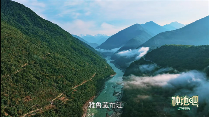 图4.png